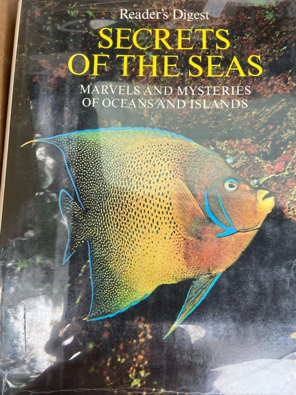 animal book Ocean Sea Island animals wildlife Tropical Fish cover coastal beach